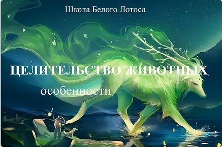 2022-04-08_15-49-39.png