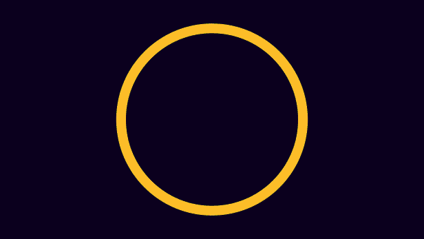 23938813 34.gif