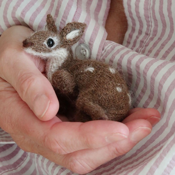 miniature-fallow-deer.jpg