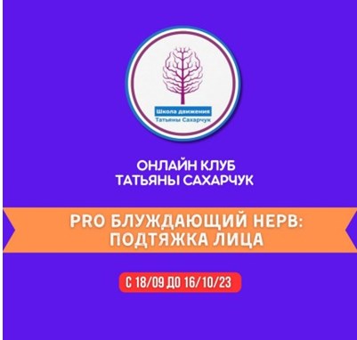 нерв.jpg