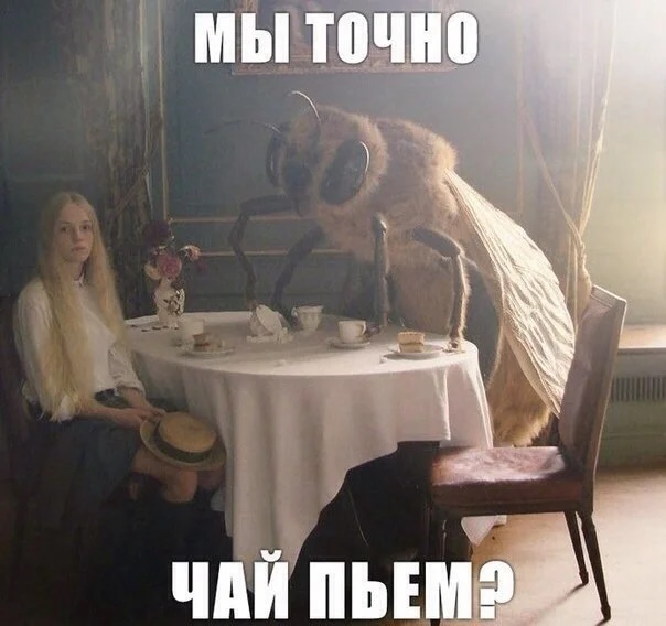 NtmoM172k_oEcQZyqdqc.jpg