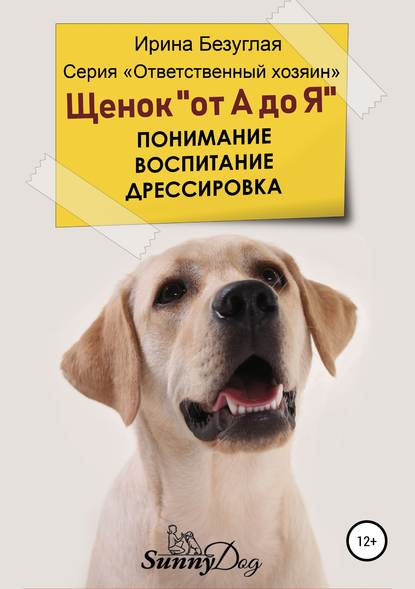 upload_2019-6-30_20-7-9.png