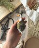 cotton_toys_st_1728773903338.jpeg