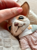 изображение_2025-08-13_204852706.png