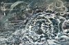 test5a38c208795003.34222309.jpg
