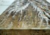 test5a38c3736f3329.36306251.jpg