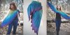 Wingspan.jpg