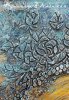 test5e6236c5e219b0.12690363.jpg