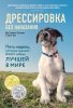 37393930-don-silviya-stasievi-dressirovka-bez-nakazaniya-pyat-nedel-kotorye-sdelaut.jpg