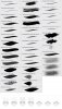 1e82d7d5-65b2-4fad-9e50-69fe02c03f0f.jpg